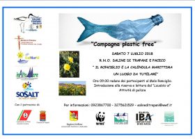 Locandina evento Plastic free Ronciglio